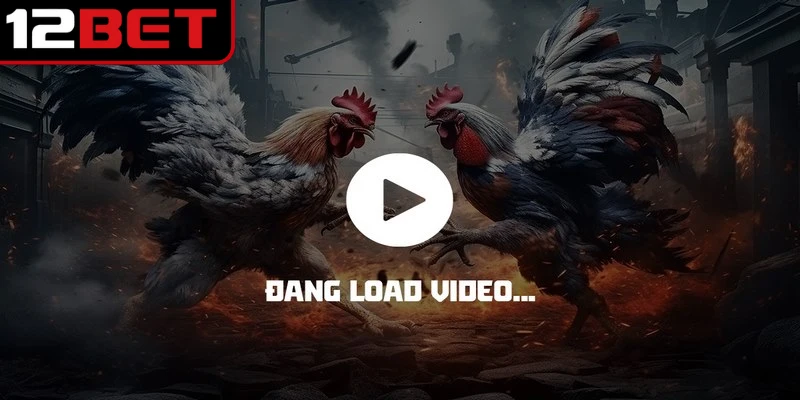 Đá Gà 12BET - Trải Nghiệm Những Cuộc Đấu Kịch Tính 4 Truy cập vào địa chỉ website chính thức qua link chọi kê online