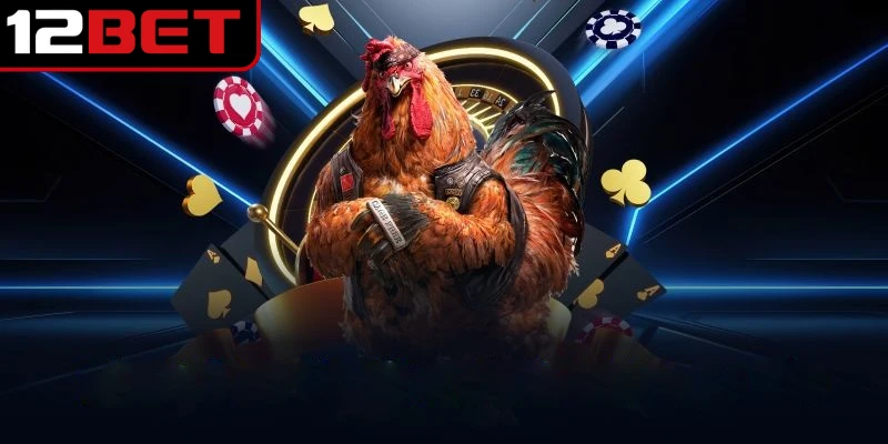 Đá Gà Cựa Dao - Thể Thức Đặt Cược Được Ưa Chuộng Nhất 3 Gà Tre là giống gà có ngoại hình nhỏ bé có sức chiến đầu lớn