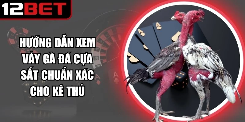 Hướng Dẫn Xem Vảy Gà Đá Cựa Sắt