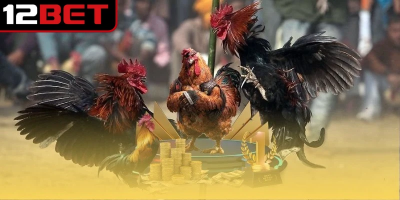 Trong lĩnh vực chăn nuôi và huấn luyện có nhiều từ ngữ đặc biệt